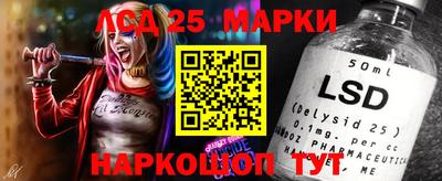 apvp Тверь