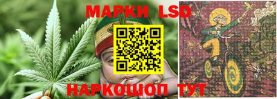 apvp Тверь