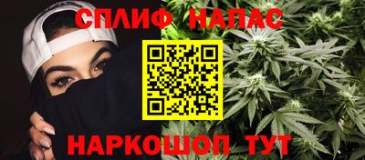 гидра Тара
