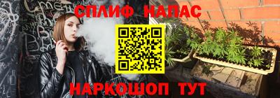 гидра Тара