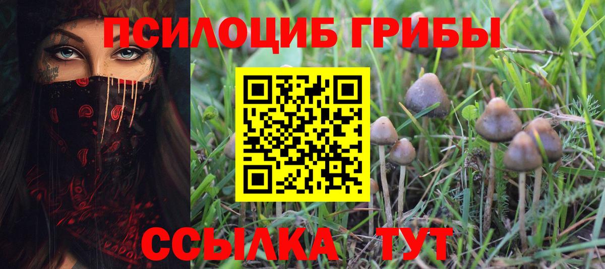 Псилоцибиновые грибы Magic Shrooms Нижний Новгород