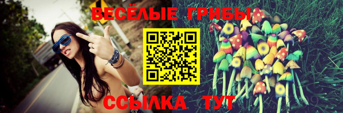 Нижний Новгород  Галлюциногенные грибы Psilocybe  Вход с VPN  Галлюциногенные грибы Magic Shrooms 